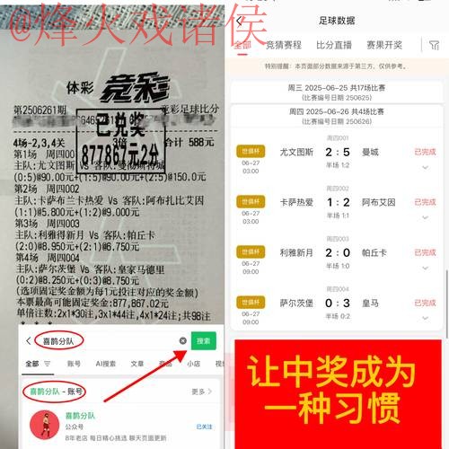 深入探讨世界杯下注的正规与最佳平台选择